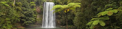 Milla Milla Falls - QLD MEGA (PBH4 00 16924)